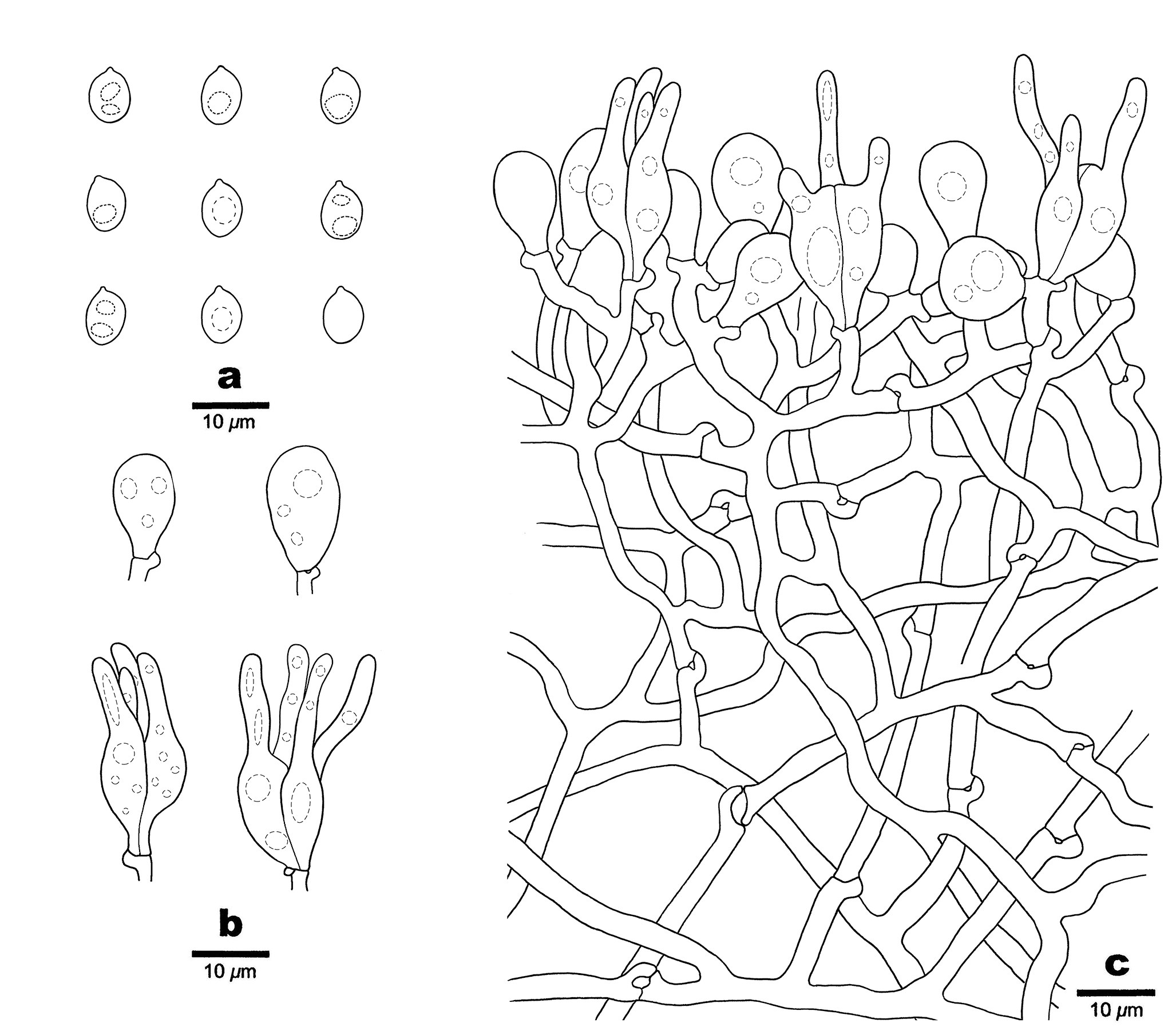 Figure 95